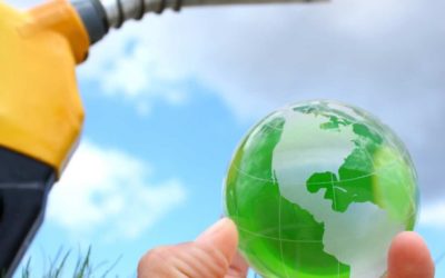 ¿Has oído hablar de los Ecocombustibles?