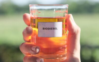 El biodiésel elaborado a partir de grasa animal: ¿una alternativa sostenible?